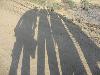 Previous picture :: Guess who we are ? ? ? ?
