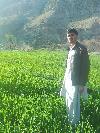Next picture :: wam tangi Harnai