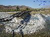 Previous picture :: Railway Bridge Nakus District Harnai