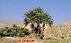 Previous picture ::  Kajoree-bolan