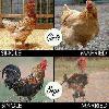 Next picture :: funy