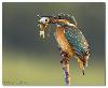 AdiL KhAN HApyy HE catCh FiSh
