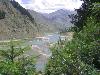 Next picture :: naran Lalazar