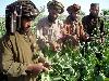 Next picture :: Afghanistan