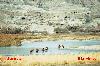 Next picture :: This Saesta Afghanistan