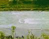 Previous picture :: sawat 