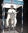 Previous picture :: best city Trefic Police in quetta city